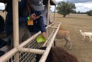 From Mexico City: Teotihuacan Tour & Reino Animal For Kids