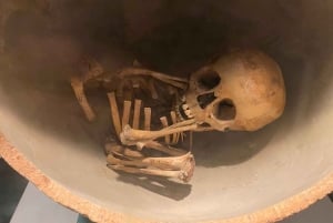 National Museum of Anthropology: A Journey into Mexico's Past-Spanish Language