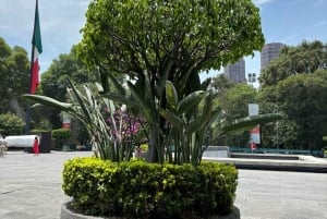 National Museum of Anthropology: A Journey into Mexico's Past-Spanish Language