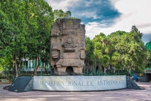 Ciudad de México: Museo Nacional de Antropología Tour privado