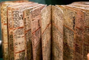 Ciudad de México: Museo Nacional de Antropología Tour privado