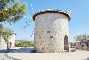 Ciudad de México: Museo Nacional de Antropología Tour privado