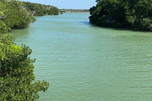 Experiencia Natural Río Lagartos y Las Coloradas.