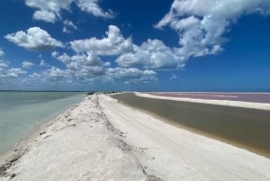 Experiencia Natural Río Lagartos y Las Coloradas.