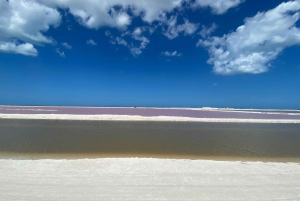 Experiencia Natural Río Lagartos y Las Coloradas.