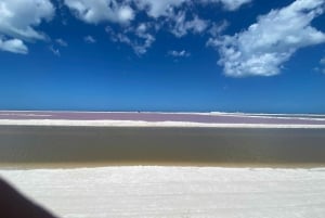 Experiencia Natural Río Lagartos y Las Coloradas.