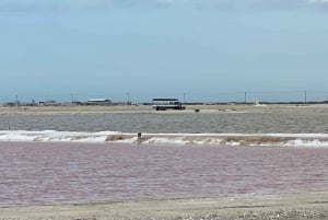 Experiencia Natural Río Lagartos y Las Coloradas.