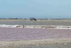 Experiencia Natural Río Lagartos y Las Coloradas.