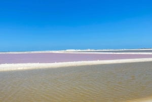 Experiencia Natural Río Lagartos y Las Coloradas.