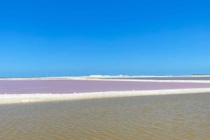 Experiencia Natural Río Lagartos y Las Coloradas.