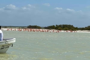 Experiencia Natural Río Lagartos y Las Coloradas.