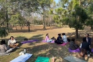 CDMX: Terapia de Naturaleza Sesión Guiada