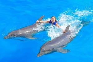 Avistamiento de Ballenas + Nado con Delfines en Puerto Vallarta