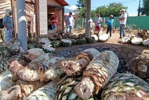 Oaxaca: Ancestral Mezcal Experience