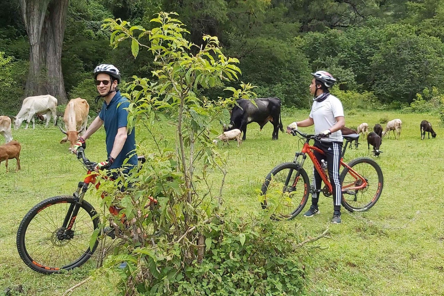 Oaxaca: Ejutla Canyon 1 Day Bike Tour