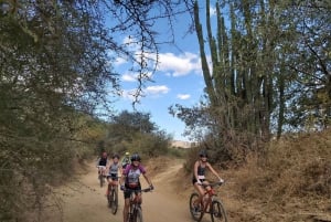 Oaxaca: Ejutla Canyon 1 Day Bike Tour