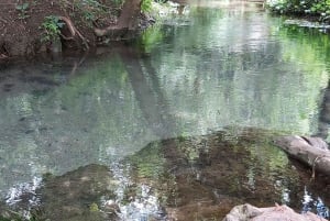 Oaxaca: Ejutla Canyon 1 Day Bike Tour