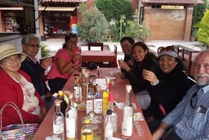 Oaxaca: El Tule, Mitla, and Hierve el Agua Tour with Mezcal