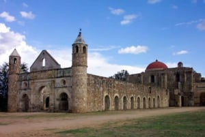 Oaxaca: Exclusive Monte Albán Empire Tour