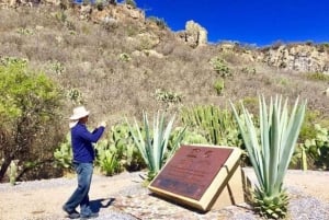 Oaxaca: Tour Privado Exclusivo por Yagul, Patrimonio de la UNESCO