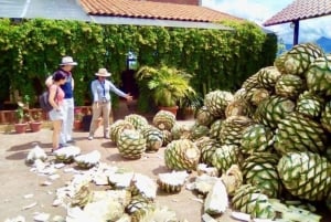 Oaxaca: Tour Privado Exclusivo por Yagul, Patrimonio de la UNESCO