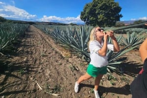 Oaxaca: Hierve el Agua, Destilería de Mezcal y Comida