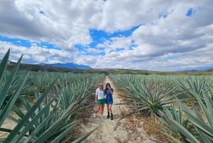 Oaxaca: Hierve el Agua, Destilería de Mezcal y Comida