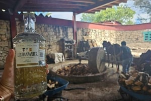 Oaxaca: Hierve el Agua, Destilería de Mezcal y Comida