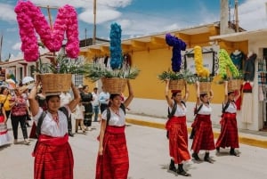 Oaxaca Hierve el Agua, Mitla, Teotitlán & Árbol del Tule