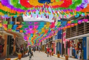 Oaxaca Hierve el Agua, Mitla, Teotitlán & Árbol del Tule