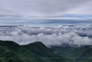 Oaxaca: Senderismo en el Bosque de Hongos de Cuajimoloyas