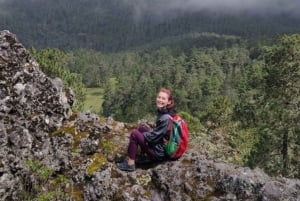 Oaxaca: Senderismo en el Bosque de Hongos de Cuajimoloyas