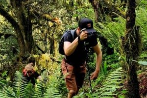 Oaxaca: Senderismo en la Sierra Norte