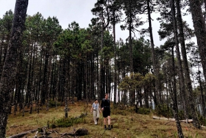 Oaxaca: Senderismo en la Sierra Norte