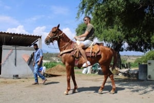 Oaxaca: Horseback Riding and Mezcal Tasting Tour