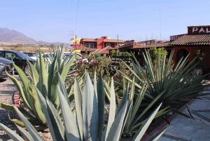 Oaxaca: Horseback Riding and Mezcal Tasting Tour