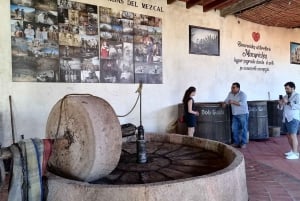 Oaxaca: Horseback Riding and Mezcal Tasting Tour