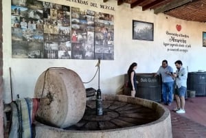 Oaxaca: Horseback Riding and Mezcal Tasting Tour