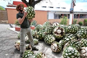 Oaxaca: Visita a una Destilería de Mezcal con Degustaciones