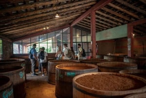 Oaxaca: Mezcal Distillery Tour with Tastings