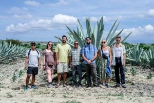 Oaxaca: Mezcal Distillery Tour with Tastings