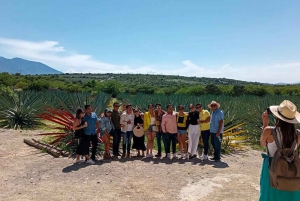 Oaxaca- Mezcal Voices Barrilbús