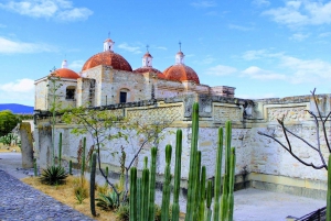 Oaxaca- Mezcal Voices Barrilbús