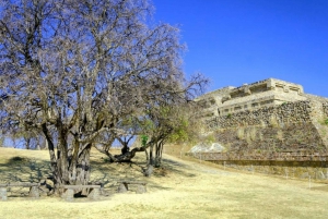 Oaxaca: Monte Alban and Historic Villages Full-Day Tour