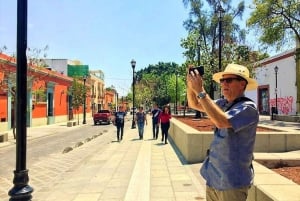 Oaxaca: Monte Albán y Ciudad de Oaxaca Tour Privado