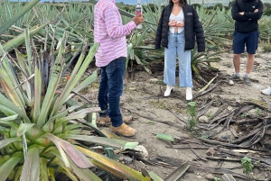 Oaxaca: Monte Albán, Hierve el agua, Mezcal y Teotitlán