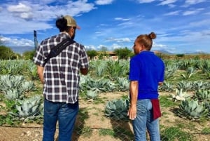 Oaxaca: Private Gastronomy and Culture Tour