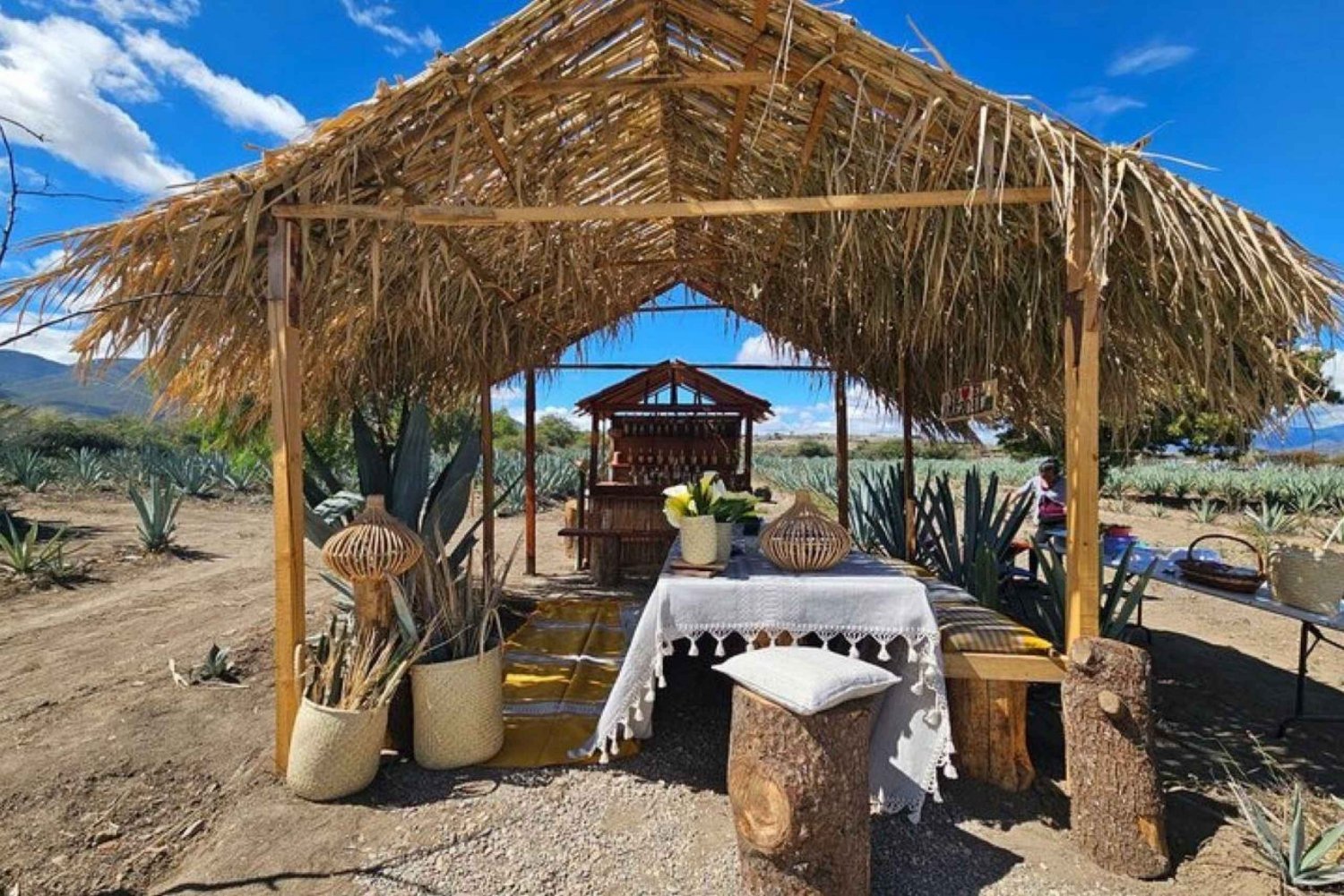 Oaxaca: Private Lunch in Maguey Fields with Mezcal Tasting