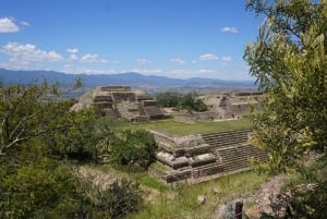 Oaxaca: Raíces Oaxaqueñas (Monte Alban)