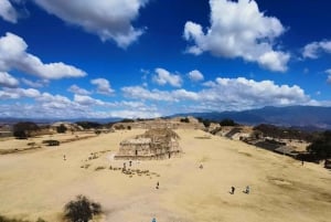 Oaxaca: Raíces Oaxaqueñas (Monte Alban)